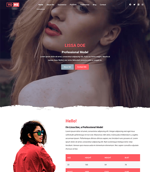 model resume template
